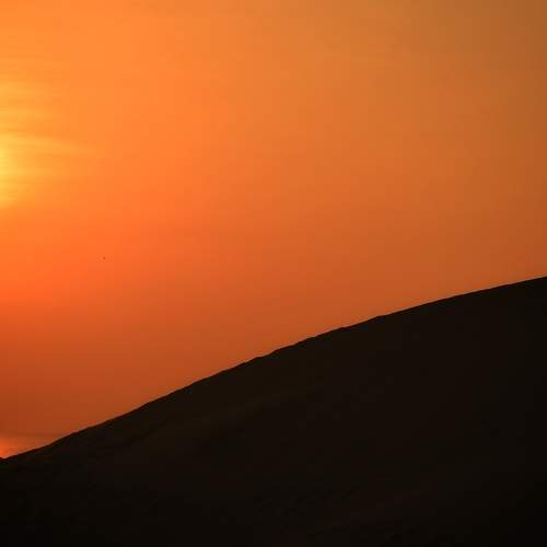Photo #7340096