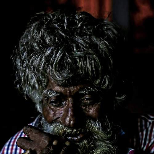 Photo #7340210