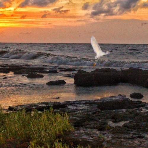 Photo #7340236