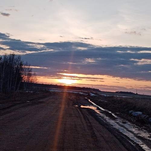 Photo #7340307