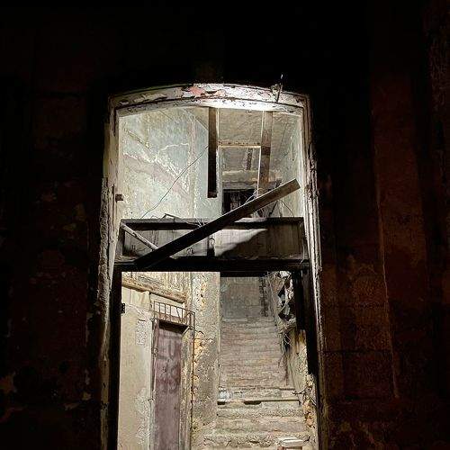 Photo #7340367