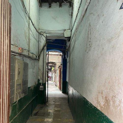 Photo #7340374