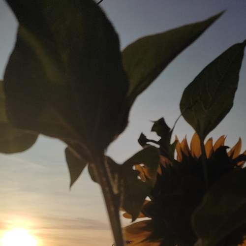 Photo #7340381