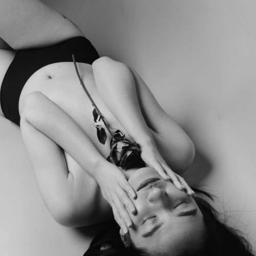 Photo #7340531