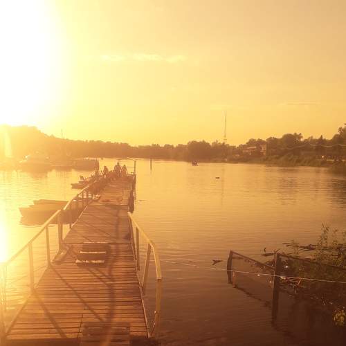 Photo #7340553
