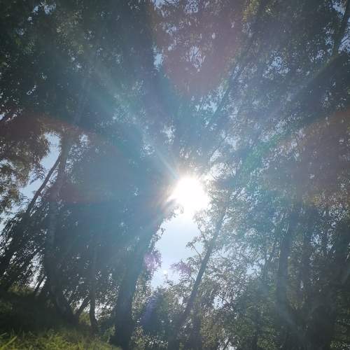 Photo #7340635