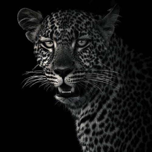 Beauty spotted....