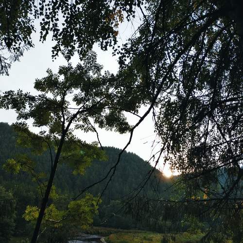 Photo #7340647