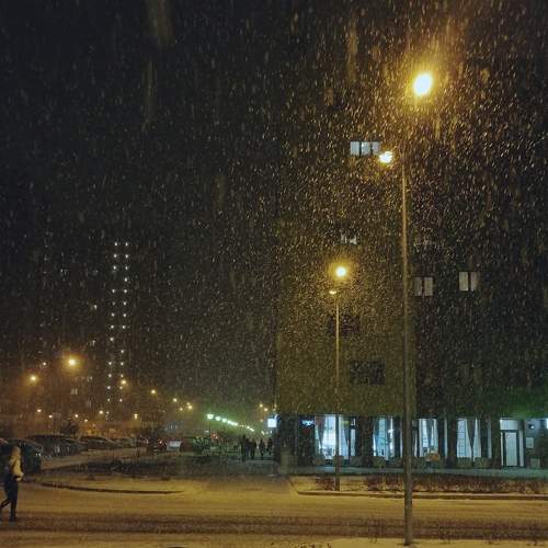 Photo #7340987