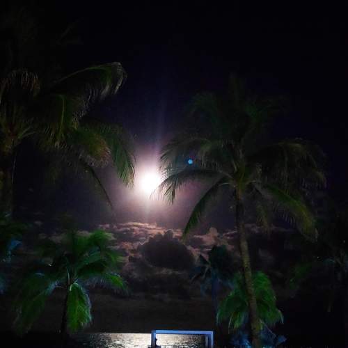 Photo #7341058
