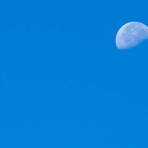 Photo #7341145