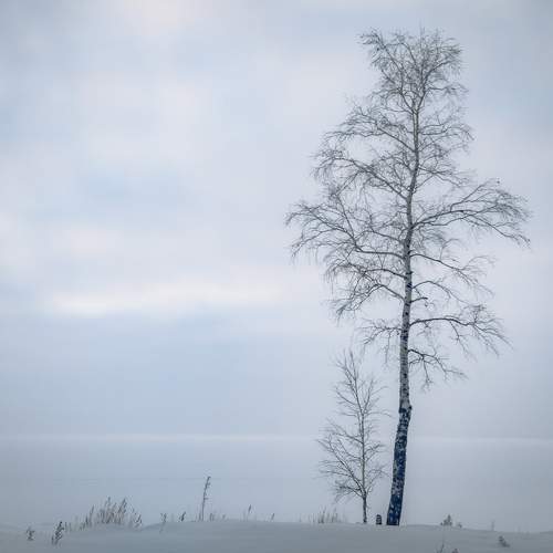 Photo #7341269