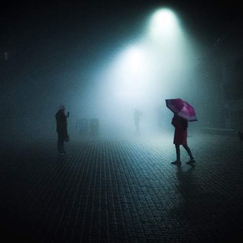 Photo #7341310