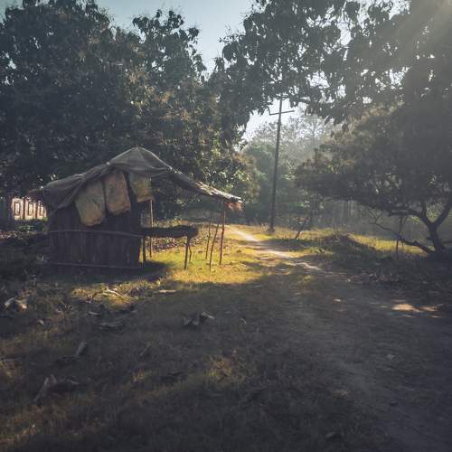 HUT in the daylight