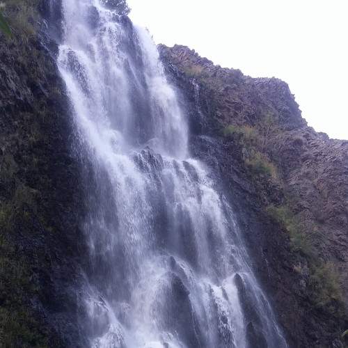 Photo #7341517