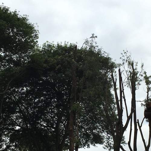 Photo #7341600