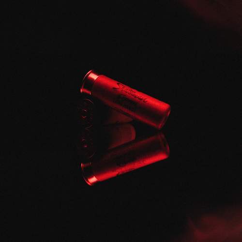 Photo #7341617