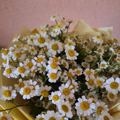 Photo #7341682