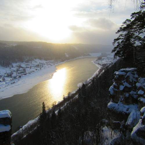 Photo #7341843