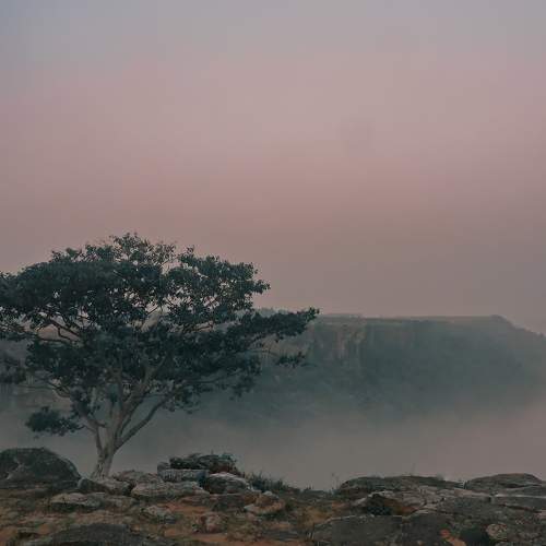 Photo #7341869