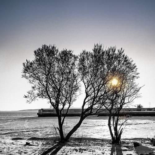 Свет и тень