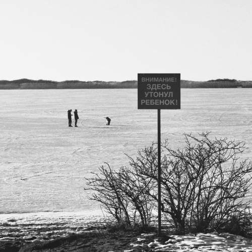Photo #7342347