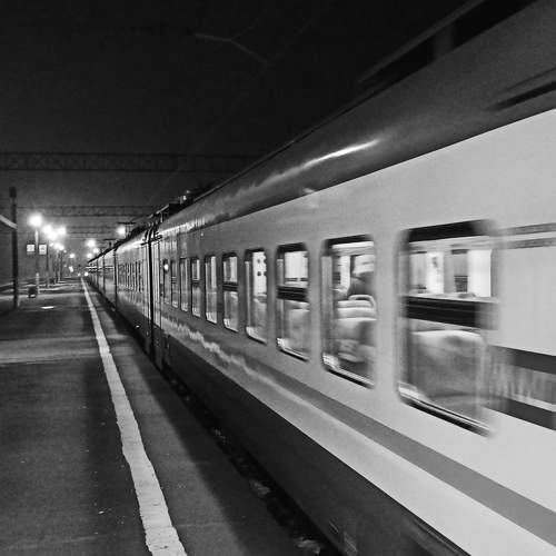 Photo #7342368