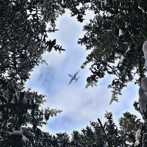 Photo #7342661
