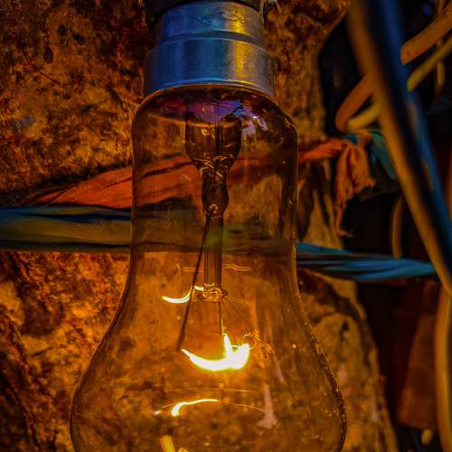 Photo #7342720