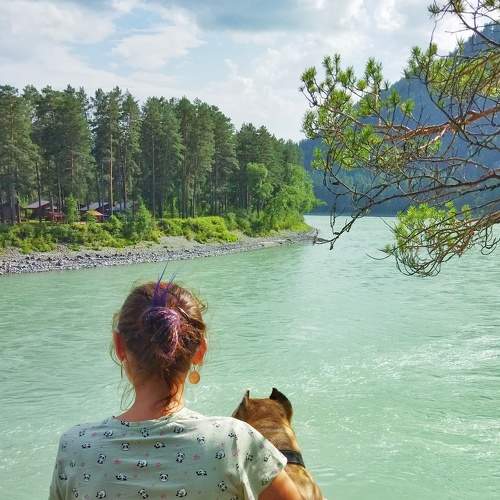 Photo #7342746