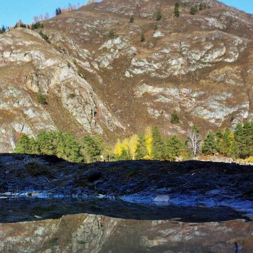 Photo #7342863
