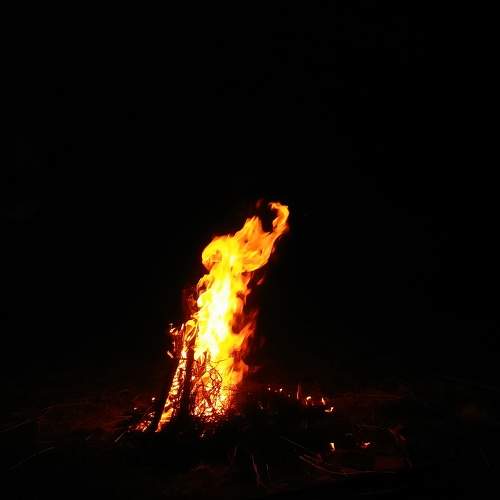 Photo #7342940