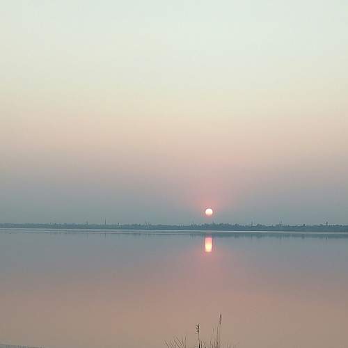 Photo #7342982