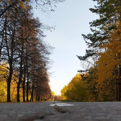 Дорога в осень.
