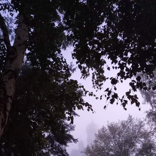 Photo #7343079