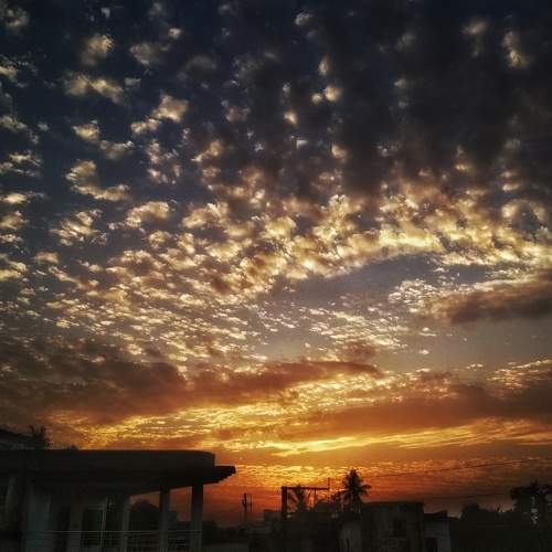 Photo #7343218