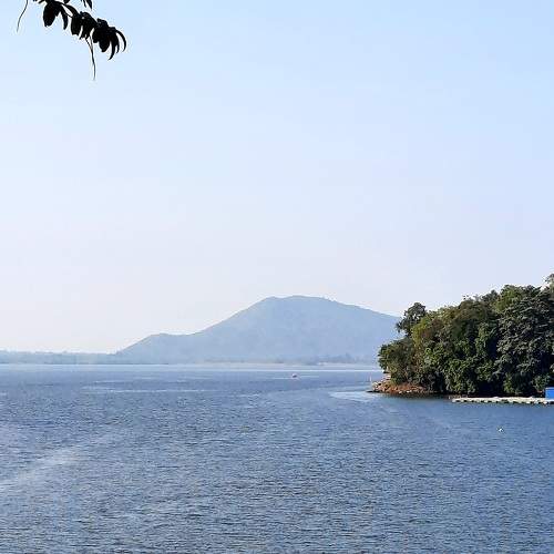 Photo #7343258