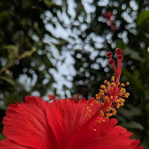Photo #7343271
