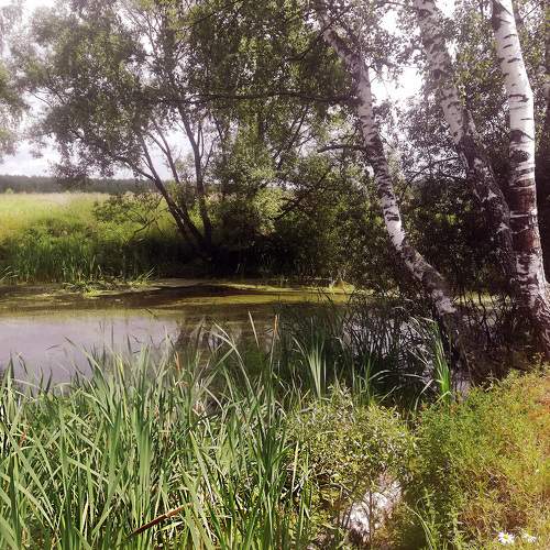 Photo #7343357