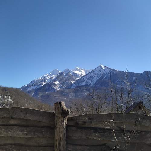 Photo #7343390