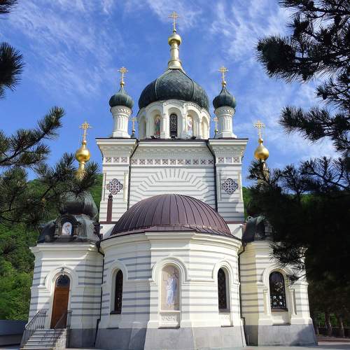 Photo #7343392