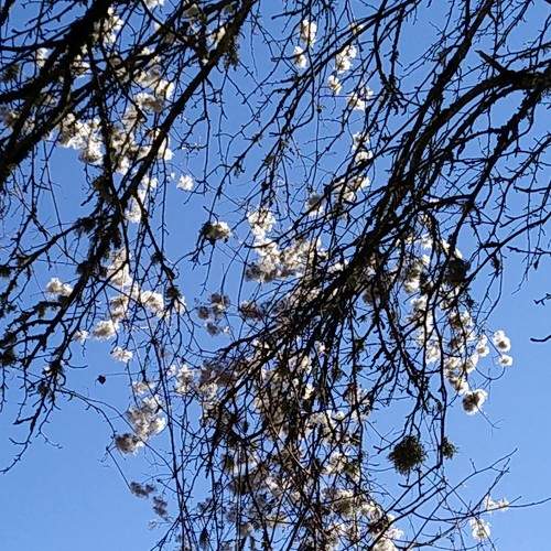 Photo #7343427