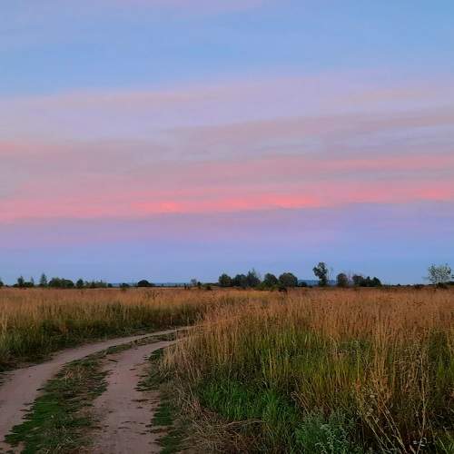 Photo #7343458
