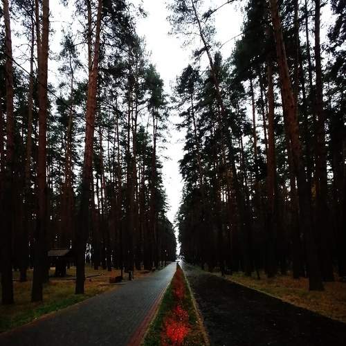 Photo #7343507