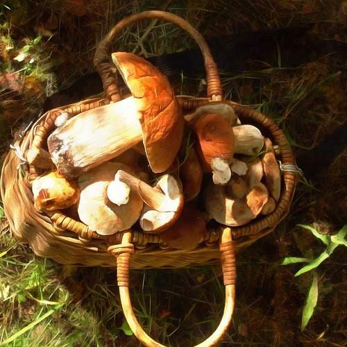 Photo #7343573