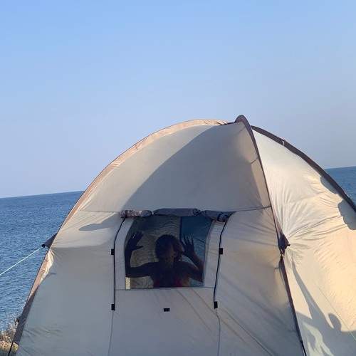 Photo #7343726