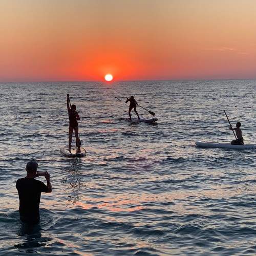 Photo #7343727