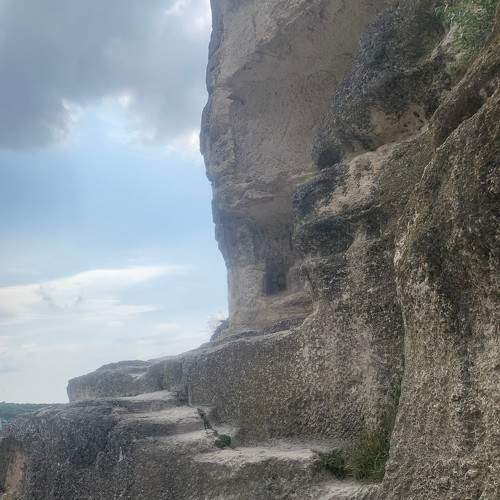 Photo #7343730
