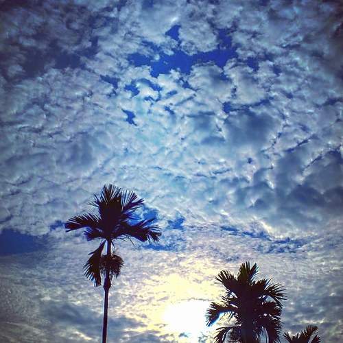 Photo #7343770