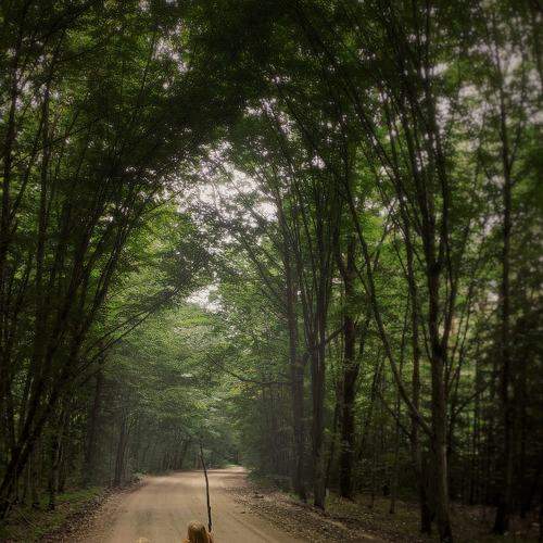 Photo #7343773